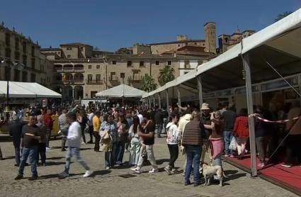 La Torta del Casar logra el premio a mejor queso de pasta blanda de oveja en la Feria del Queso de Trujillo