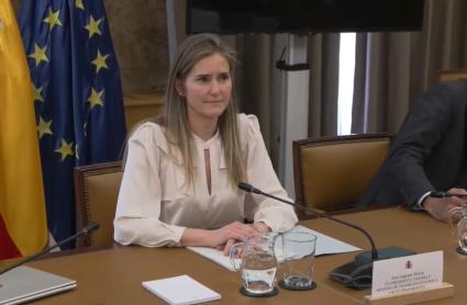 Aagesen afirma que el sistema eléctrico contaba con una inercia "acorde" en momentos previos al apagón