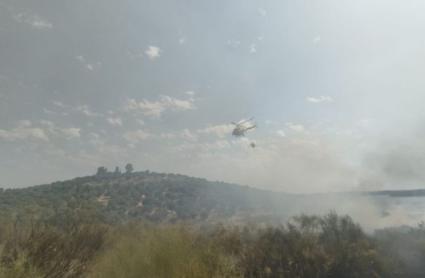 Declarado el Nivel 1 de Peligrosidad por Incendio Forestal en Navalvillar de Pela