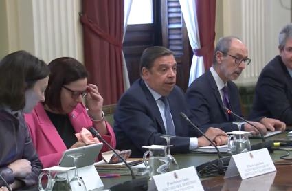 Planas informa a las CCAA de la carta en defensa de una PAC con presupuesto suficiente y personalidad propia