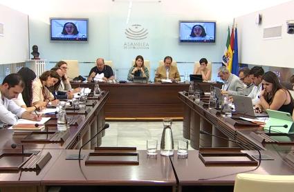 La Ley de Concordia llega a la Asamblea