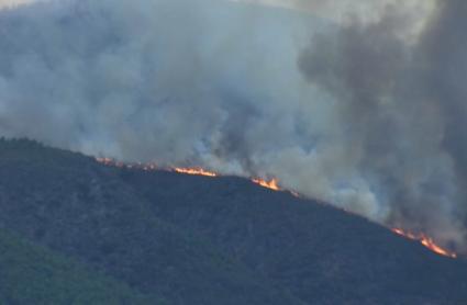 Extremadura solicita la activación de la UME por el incendio en Caminomorisco