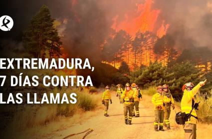 Bomberos del INFOEX luchan contra el incendio forestal de Jarilla (Cáceres)