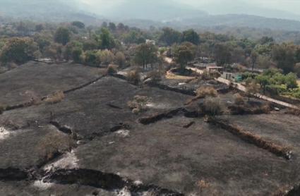 El Plan Infoex rebaja a nivel 1 el incendio forestal de Jarilla tras su estabilización