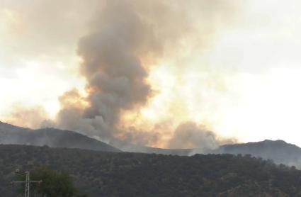 Incendio en Jarilla