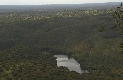 La Asociación Ecologistas Extremadura recurre el plan rector de Monfragüe por permitir caza y suelta de perros de rehala