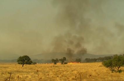 Incendio en Oliva de Mérida