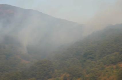 El PSOE pedirá un pleno monográfico en la Asamblea sobre la gestión de la extinción de los incendios en Extremadura