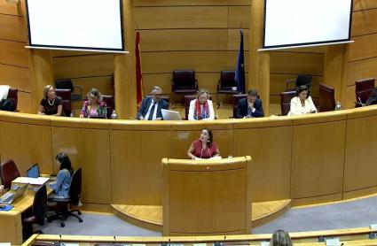La secretaria general de Igualdad y Conciliación de la Junta de Extremadura, Ara Sánchez Vera, en el Senado