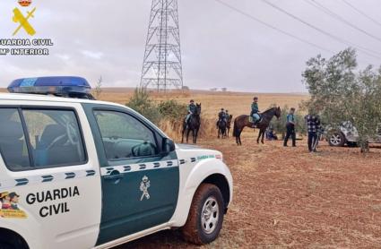 Actuaciones contra el robo de aceitunas