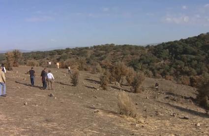 Zona afectada por el incendio de Jarilla de 2025