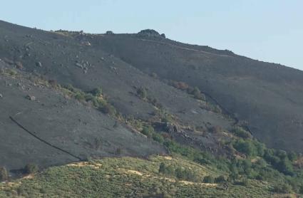 Paisaje tras un incendio en Extremadura