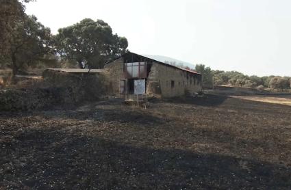 Zona afectada por los incendios del verano de 2025 - Imagen de archivo.