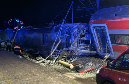 Tren en el que viajaban unas 300 personas y que cubría el trayecto Málaga-Puerta de Atocha