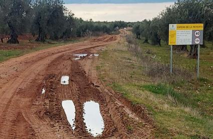 Camino rural de titularidad municipal