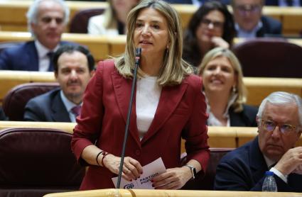 La portavoz del PP en el Senado, Alicia García, interviene durante una sesión plenaria en el Senado, a 17 de marzo de 2026,