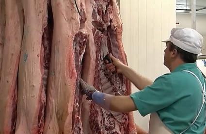 Trabajador de un matadero preparando cerdo ibérico