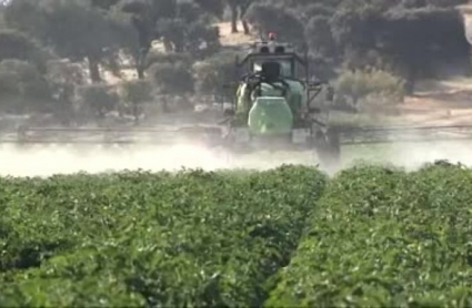 cosechadora trabajando en el campo extremeño