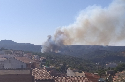 Incendio Forestal en Castañar de Ibor