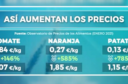 Precios reales de los productos en origen y en tienda