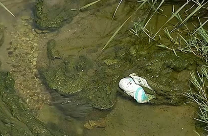 La suciedad del río y el vertido de aguas residuales provocan malos olores
