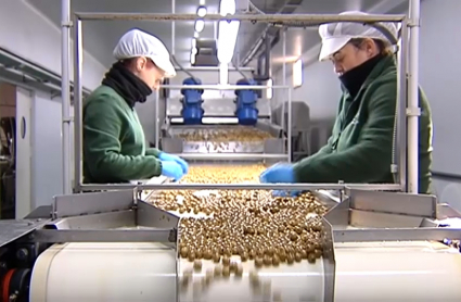 Empresa extremeña que exporta aceitunas a Estados Unidos
