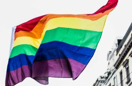VIDI BANDERA LGTBI CC