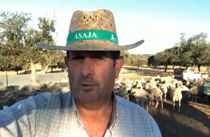Juan Metidieri, presidente de APAG Extremadura-Asaja