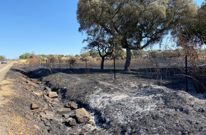 Incendio en Madroñera.
