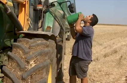 Agricultor refrescándose gracias a un botijo