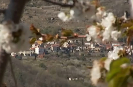 Valle del Jerte (Cáceres)