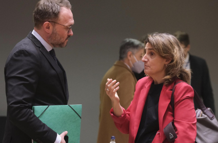 Teresa Ribera, en una reunión del Consejo Europeo de Medio Ambiente