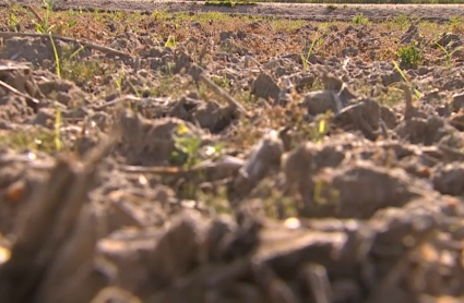 Imagen de la tierra de un campo de cultivo