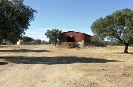 Finca Torrejón el Rubio. Accidente de tractor