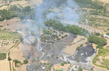 Incendio Villanueva de la Vera
