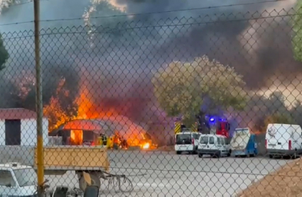 Incendio el prado de Mérida
