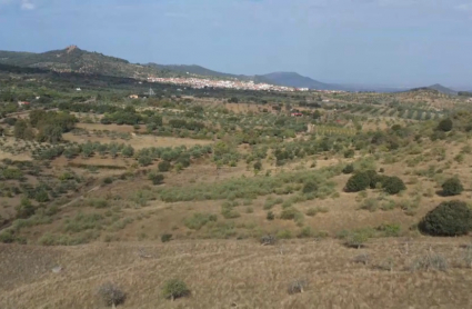 Terrenos donde iría el macrovertedero