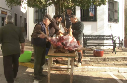 Matanza tradicional en Villarta de los Montes