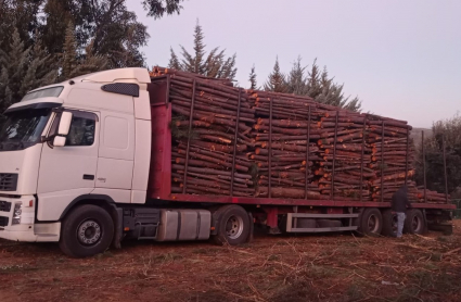 Accidente en la Aceña de la Borrega