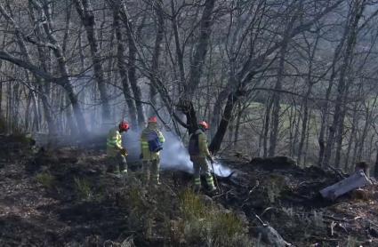 Bomberos forestales