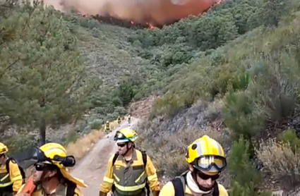 Bomberos forestales en un incendio