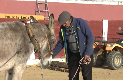 Burro en Villanueva del Fresno