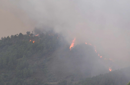 Incendio en el norte extremeño