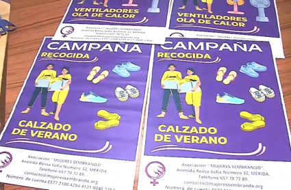 Carteles anunciadores de la campaña