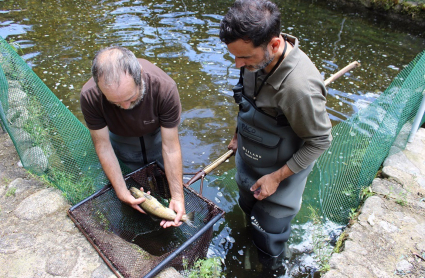 Salmones en Jerte