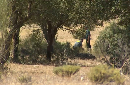 La Guardia Civil inspecciona el lugar del accidente