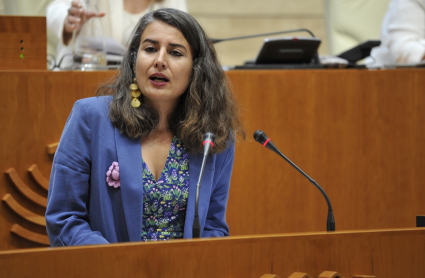 Irene de Miguel durante la sesión de investidura de María Guardiola