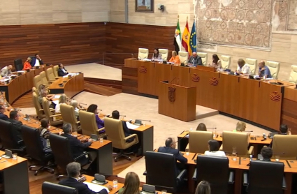 Pleno en la Asamblea