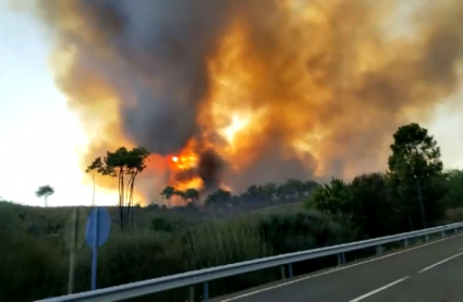 Incendio en la zona de Collado de la Vera y Jaraíz