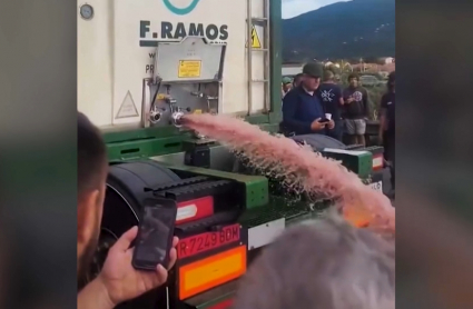 Viticultores franceses